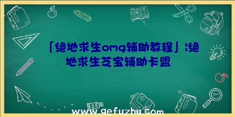 「绝地求生omg辅助教程」|绝地求生芝宝辅助卡盟